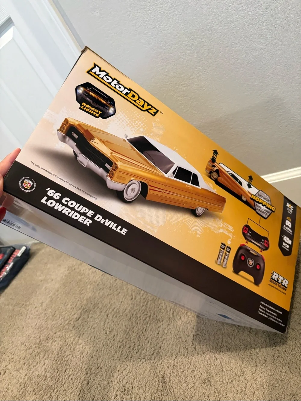 Motordayz brand new